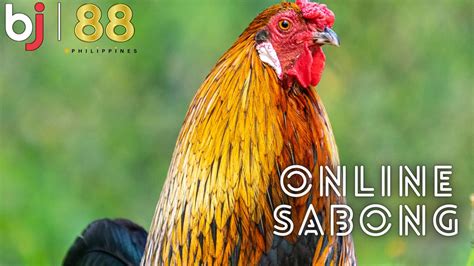 Sabong Online Betting in the Philippines .